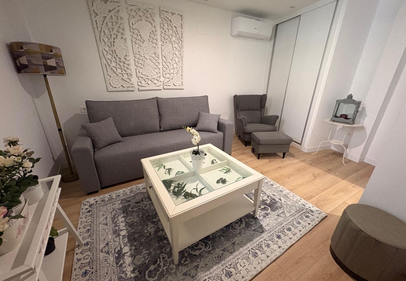 Apartamento en Segovia - APTO PEÑALARA -10